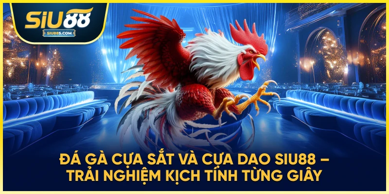 Đá gà cựa sắt và cựa dao Siu88 – Trải nghiệm kịch tính từng giây