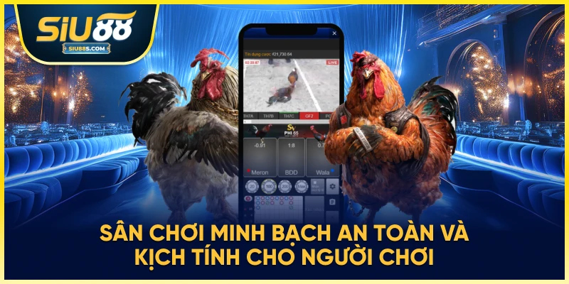 Sân chơi minh bạch an toàn và kịch tính cho người chơi